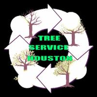 Tree Trimming Service Houston image 1